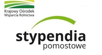 Program Stypendiów Pomostowych 2021/2022
